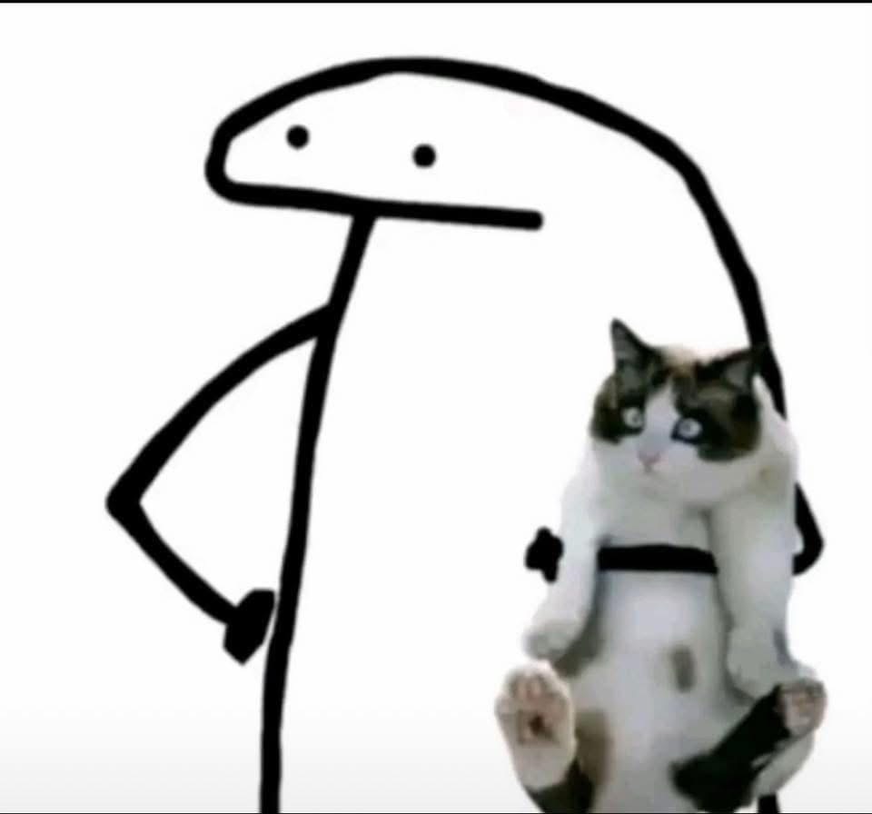 Social Media and the Illusion of&nbsp;Expertise